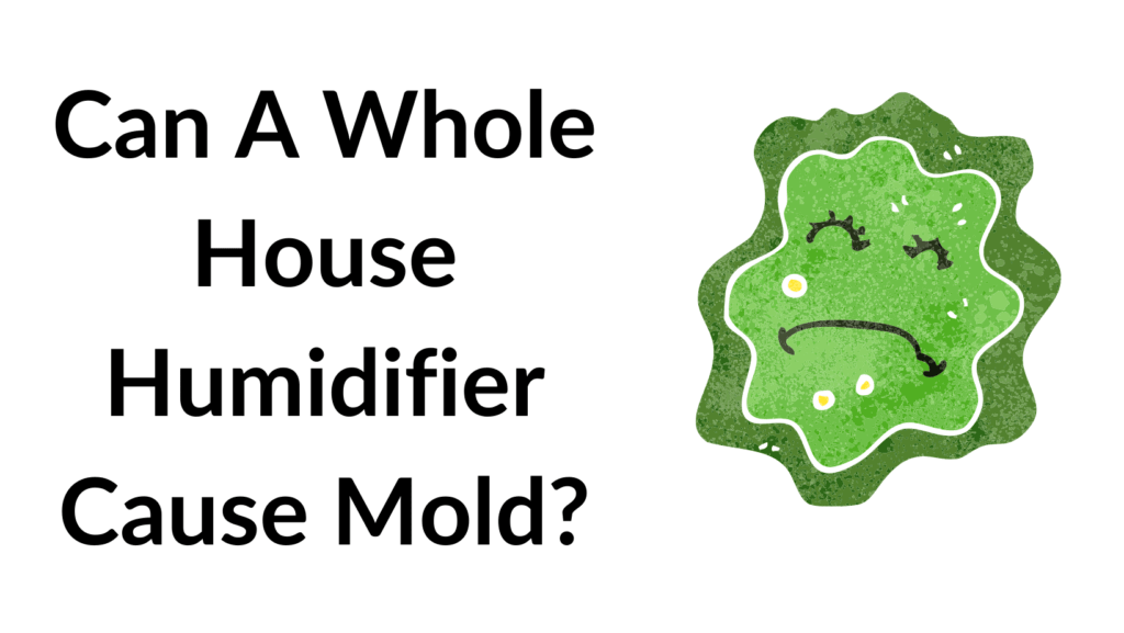 Can Humidifiers Cause Mold? Everything in this Perfect Guide