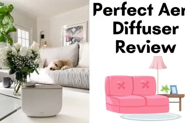 Perfect Aera Diffuser Review / Should You Buy 1 or Not?