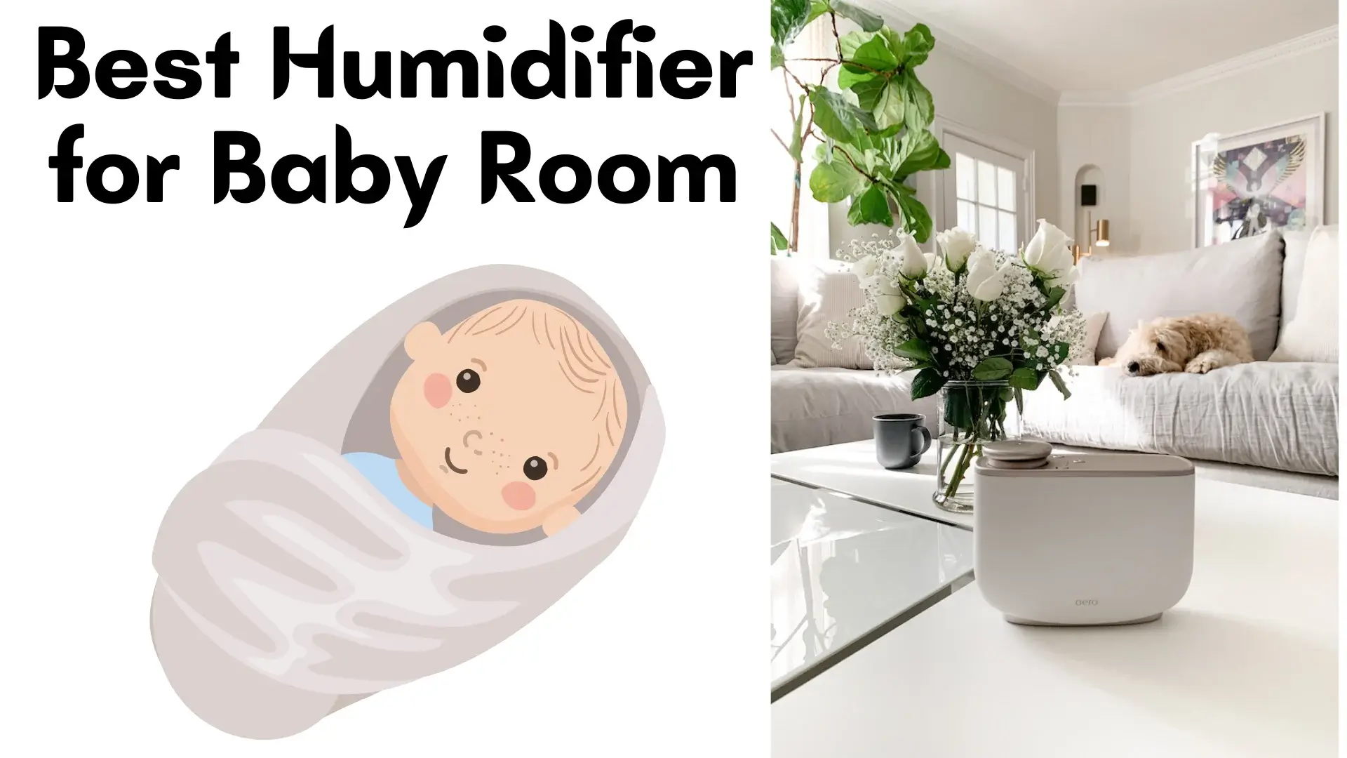 Best Humidifier for Baby Room / 1 Perfect Guide for Beginners