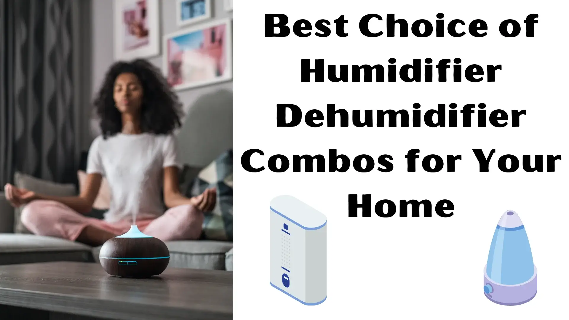 Humidifier Dehumidifier Combo