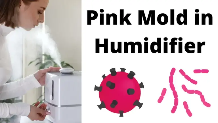 Pink Mold in Humidifier